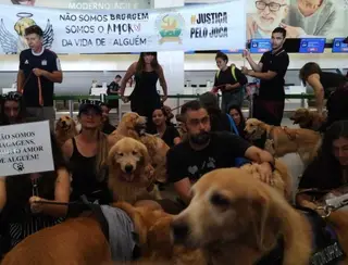 Manifestantes protestam em diversos aeroportos em homenagem ao cão Joca que morreu por descuido da Gol, Companhia de Aviação 