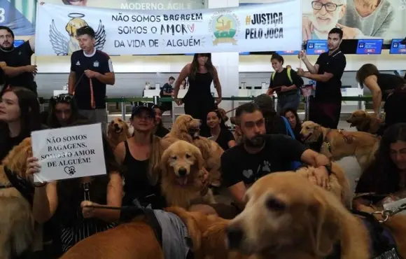 Manifestantes protestam em diversos aeroportos em homenagem ao cão Joca que morreu por descuido da Gol, Companhia de Aviação 